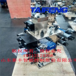 山東泰豐液壓供應油壓機二通插裝閥YN32-315HGLBCV