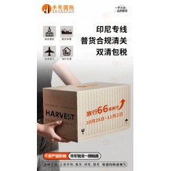 廣州到印尼泗水直航海運多少錢？**印尼雙清到門專線